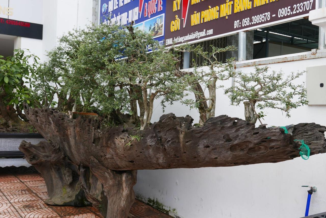 Allure Hotel Thuy Trieu Eksteriør bilde